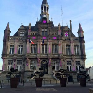 French cities join World IBD Day campaign