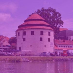 Slovenia joins World IBD Day